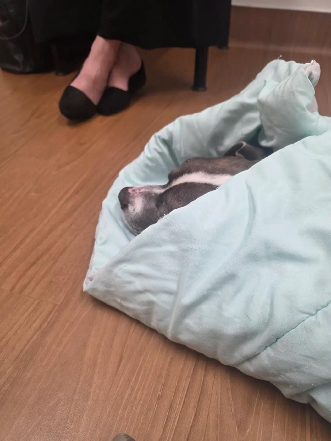 Post 5 by TargaryenWolf83 on TikTok (video)