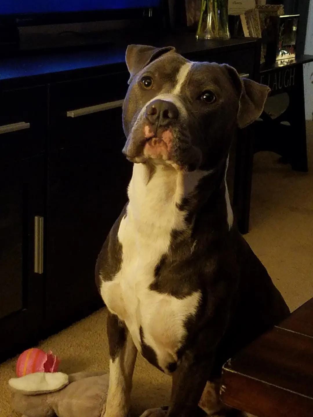 Post 4 by TargaryenWolf83 on TikTok (video)