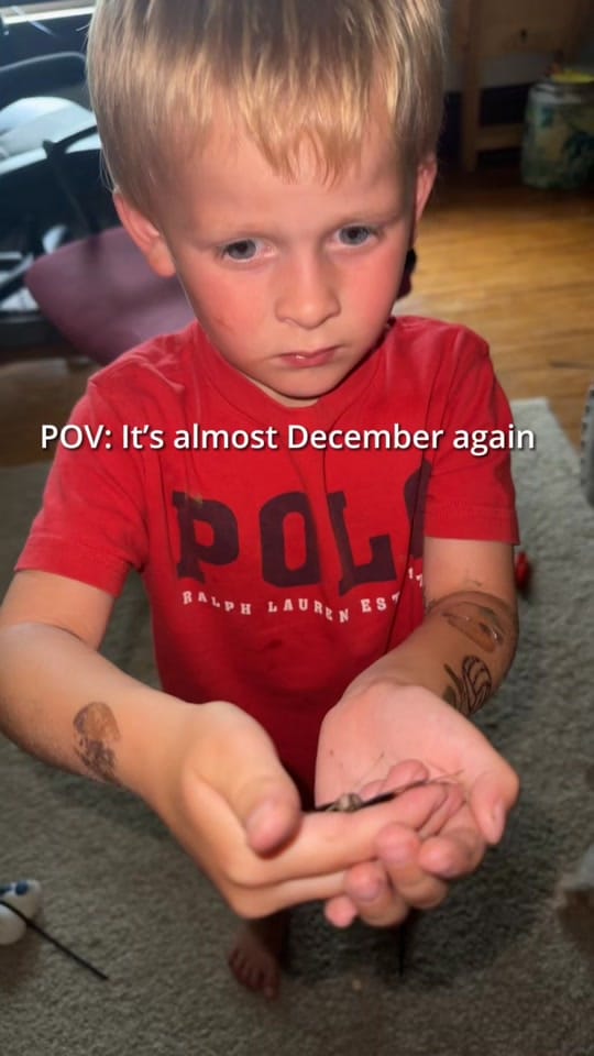 Post 5 by Krista🩷 on TikTok (video)