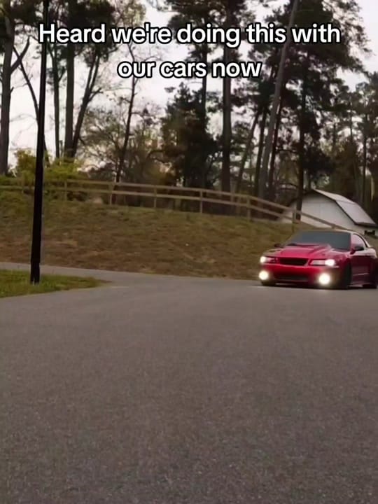 Post 8 by Austin Dockery on TikTok (video)