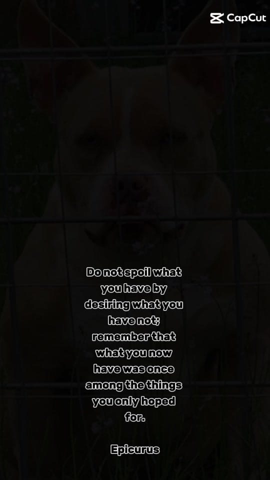 Post 2 by Flextimebullyz on TikTok (video)