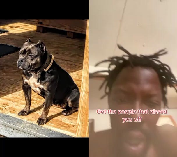 Post 5 by Flextimebullyz on TikTok (video)