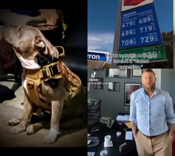 Post 8 by Flextimebullyz on TikTok (video)