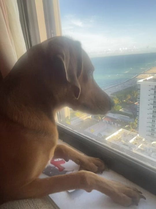 Post 1 by Ryan Kirkley on TikTok (video)