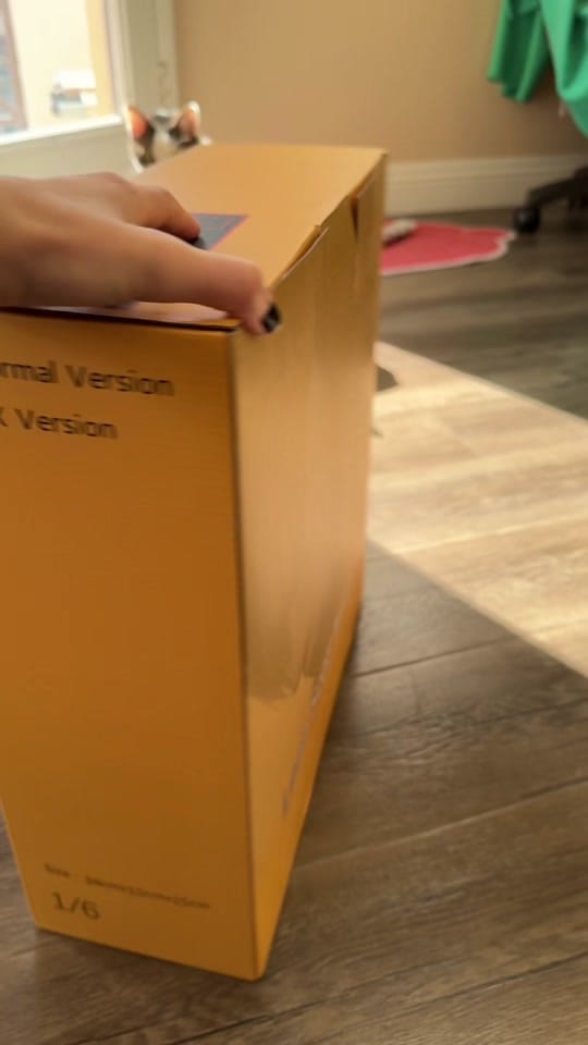 Post 9 by steph on TikTok (video)