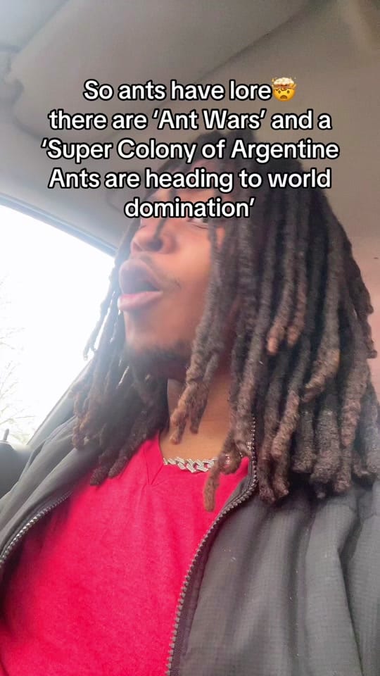 Post 2 by LR Tate on TikTok (video)