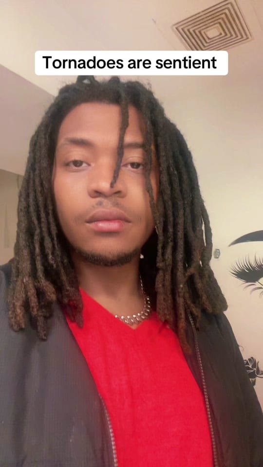 Post 3 by LR Tate on TikTok (video)