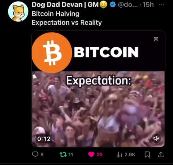 Post 7 by Dog Dad Devan on TikTok (video)