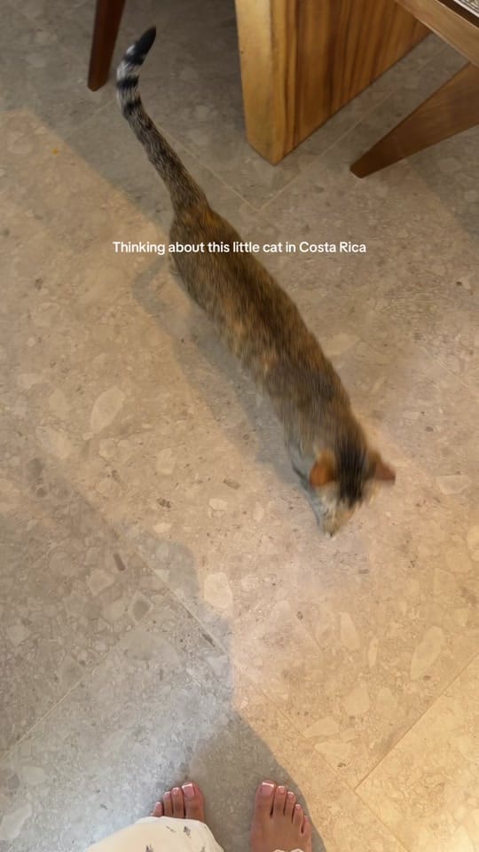 Post 9 by Alissa Ashley on TikTok (video)