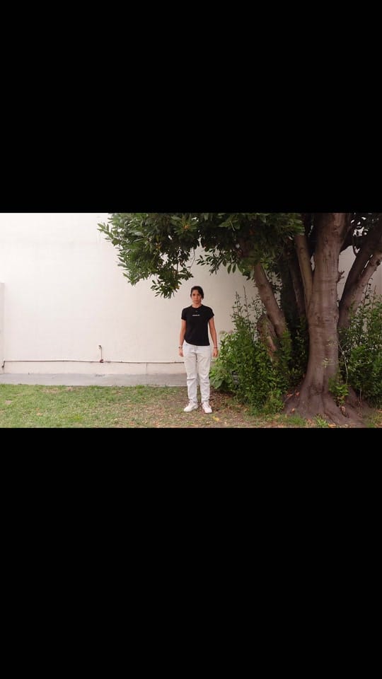 Post 9 by Wondershare en español on TikTok (video)