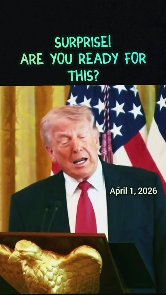 Post 5 by john on TikTok (video)