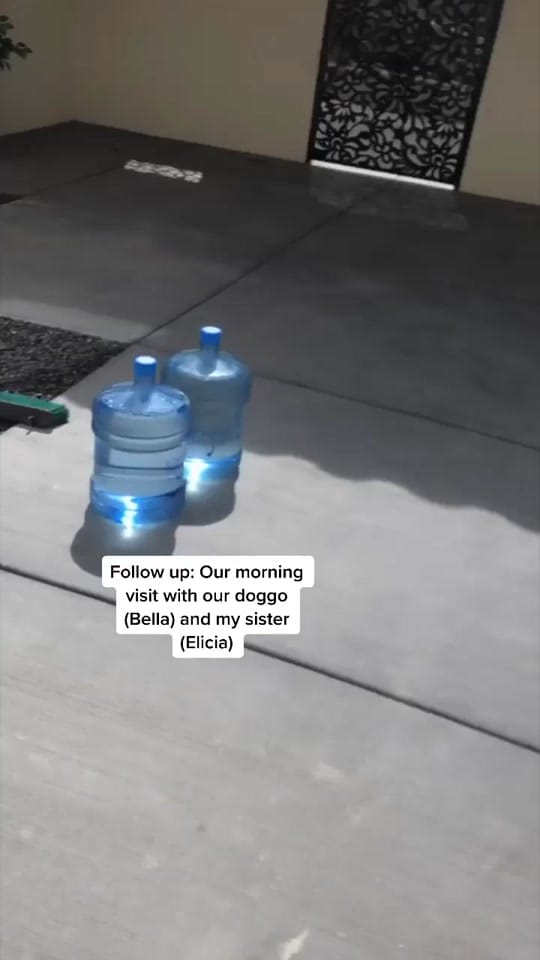 Post 9 by eliciakg on TikTok (video)