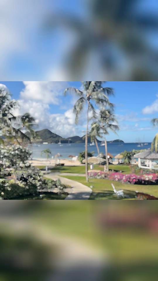 Post 5 by Angela on TikTok (video)