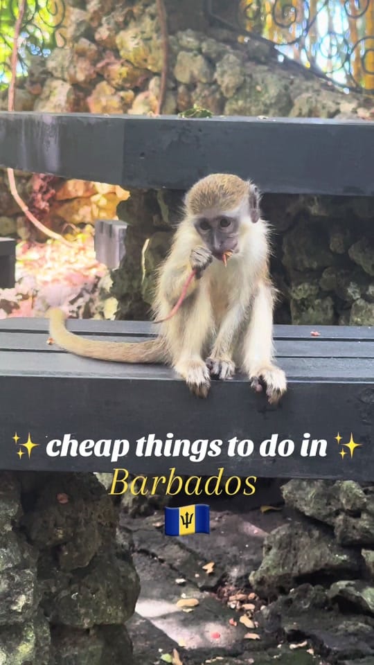Post 8 by So Exciting Travels on TikTok (video)