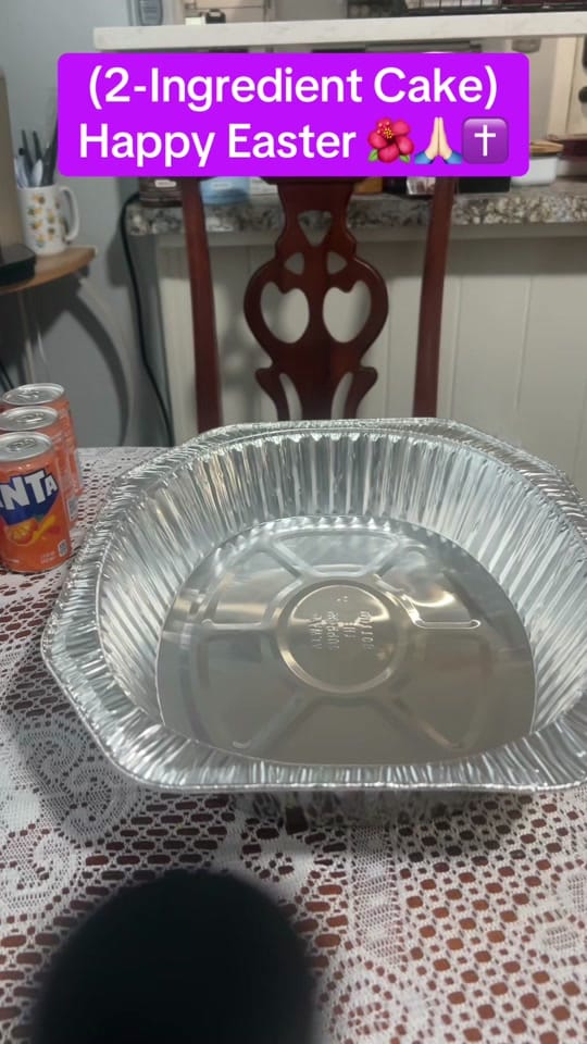 Post 3 by Adina on TikTok (video)