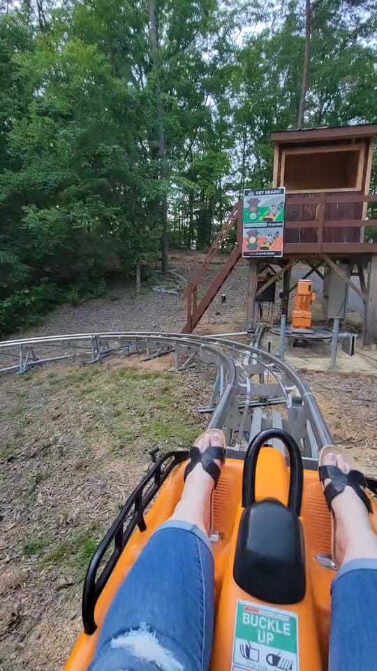 Post 8 by Renee DeWitt on TikTok (video)