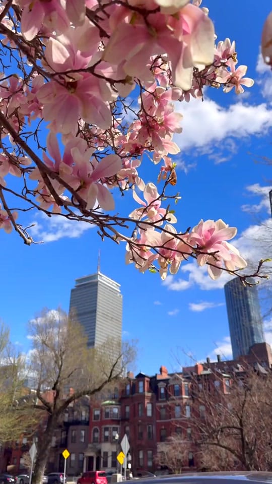 Post 4 by SAVATH💋Boston Content Creator on TikTok (video)