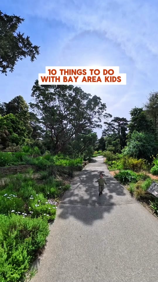 Post 1 by bayareakidsgo on TikTok (video)