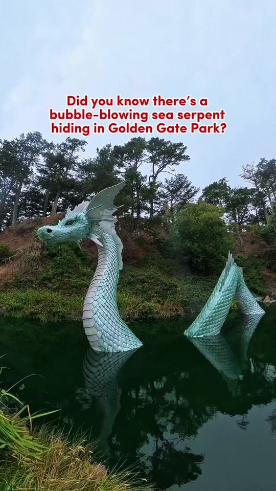 Post 8 by bayareakidsgo on TikTok (video)