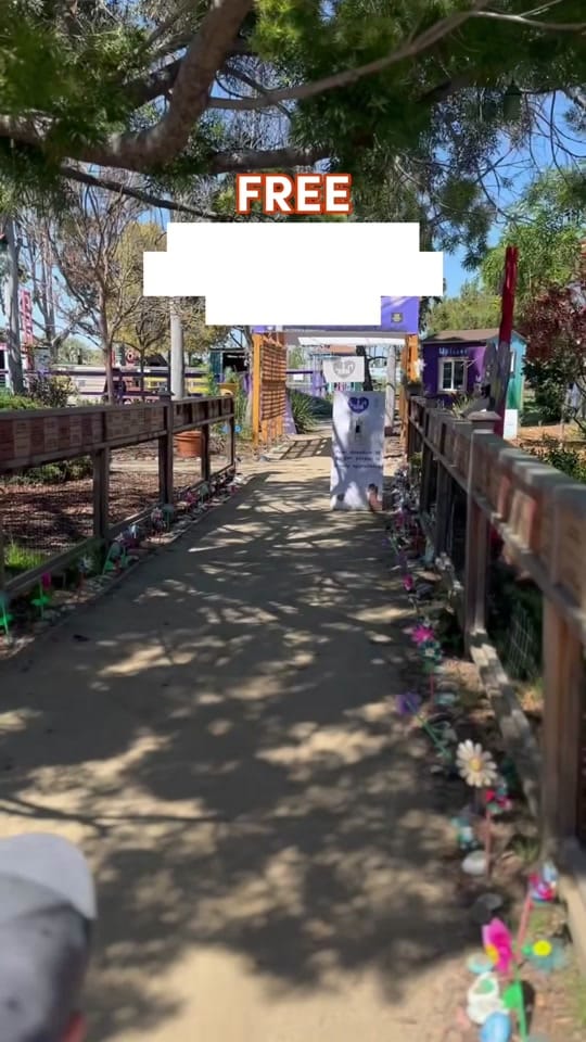 Post 10 by bayareakidsgo on TikTok (video)