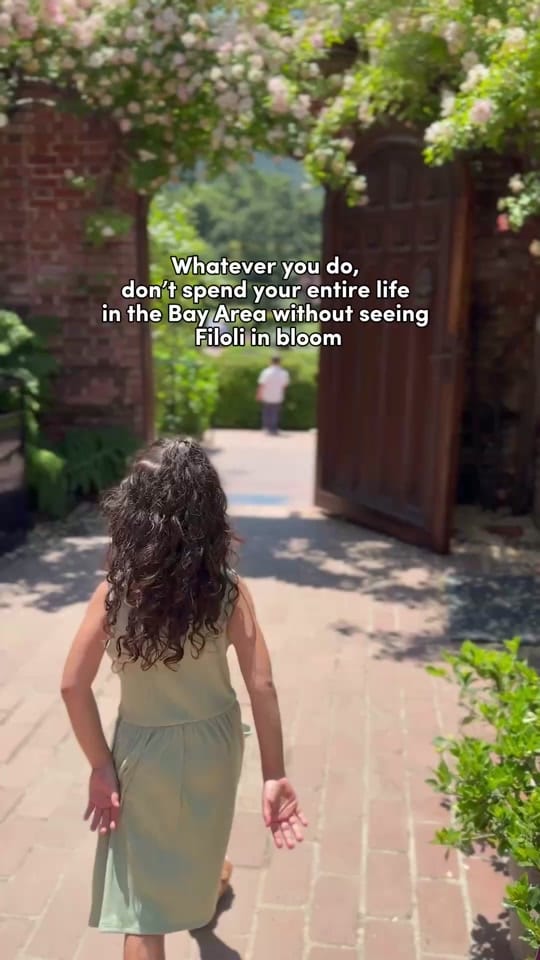 Post 5 by bayareakidsgo on TikTok (video)