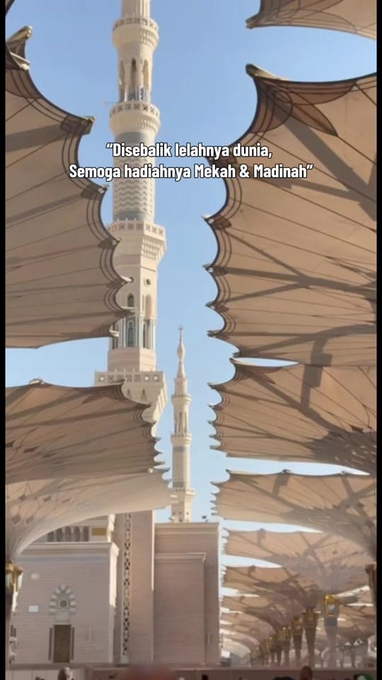 Post 3 by Hafiz Travel & Tours Ajil on TikTok (video)