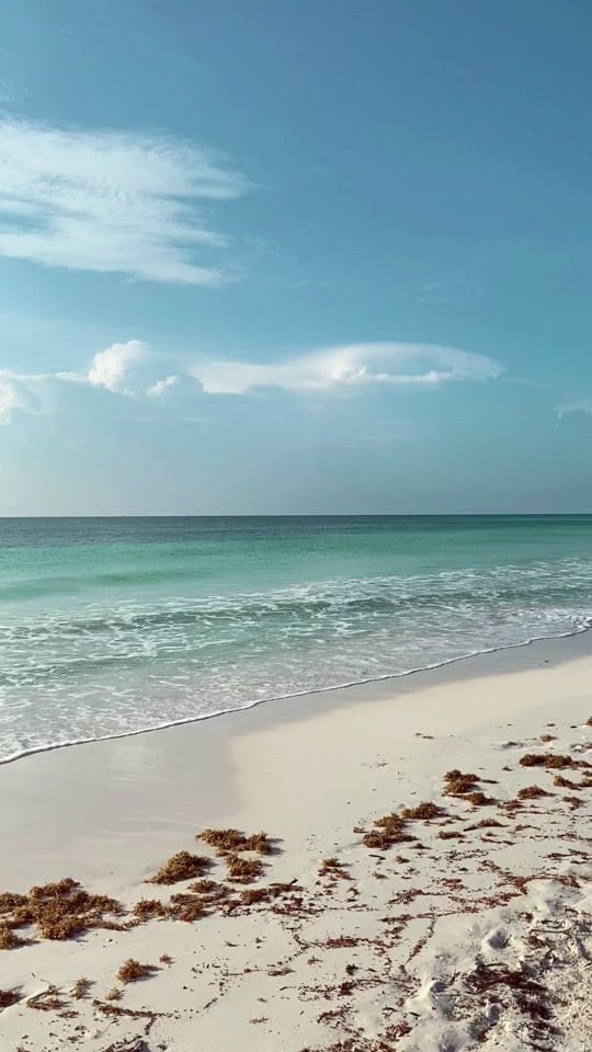 Post 2 by 𝐼𝑜𝓃 🛩️ on TikTok (video)