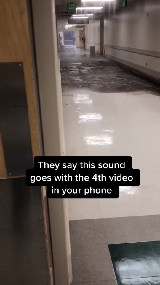 Post 10 by Krystal Leilani 🌺🐬 on TikTok (video)