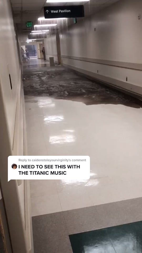 Post 9 by Krystal Leilani 🌺🐬 on TikTok (video)