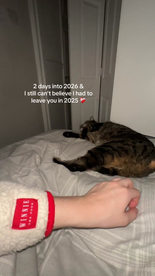 Post 6 by georgia__bennett on TikTok (video)