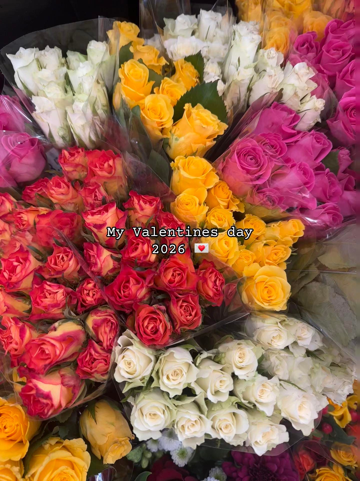 Post 1 by georgia__bennett on TikTok (video)