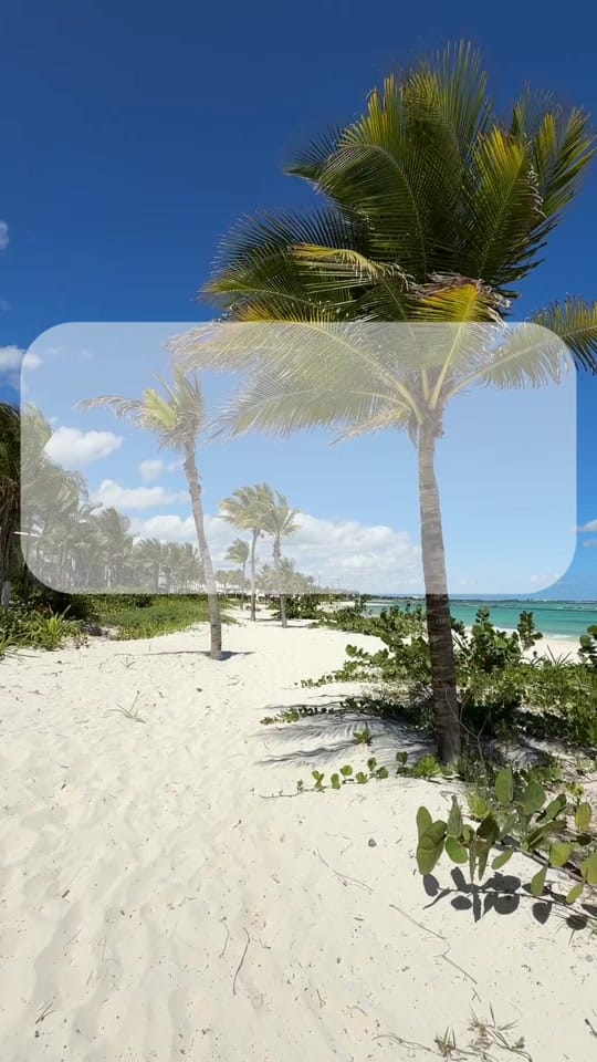 Post 4 by Audrey Travel Now Agency on TikTok (video)