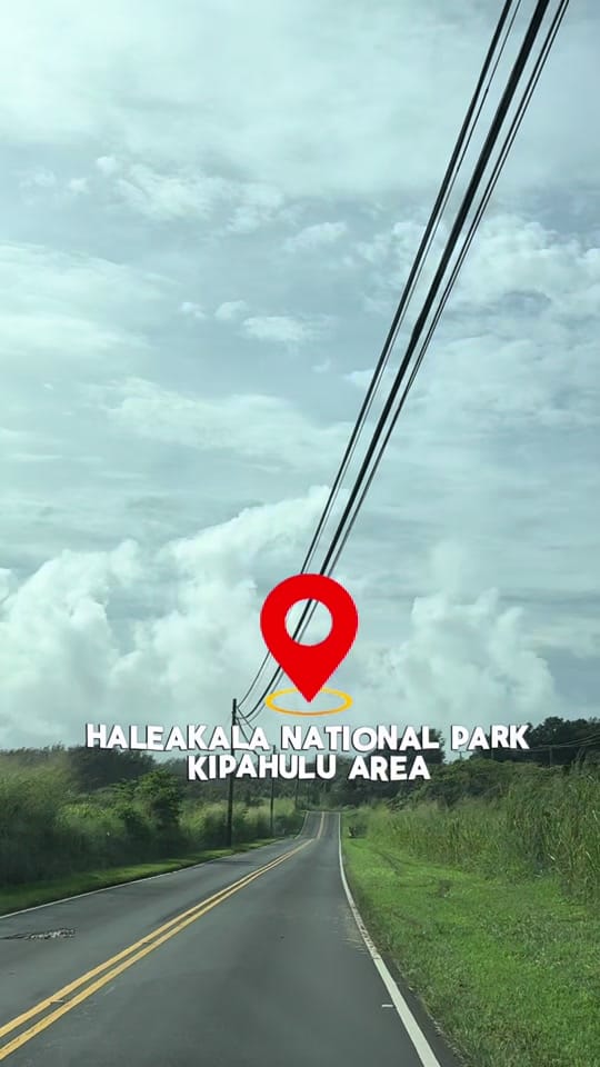 Post 8 by Tina & E | Eat.Travel.Repeat. on TikTok (video)