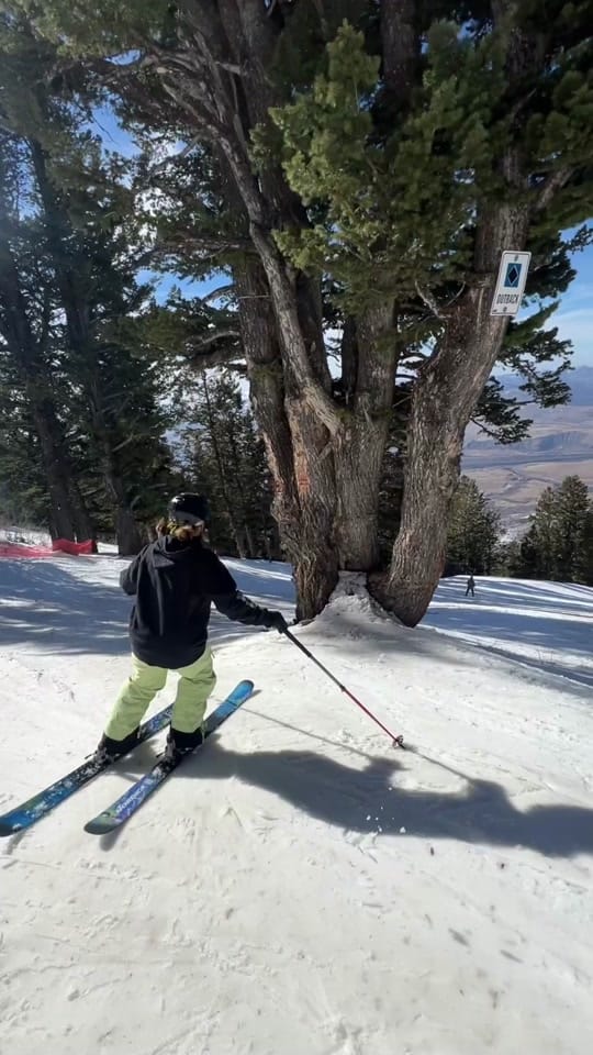Post 5 by Erin Spong on TikTok (video)