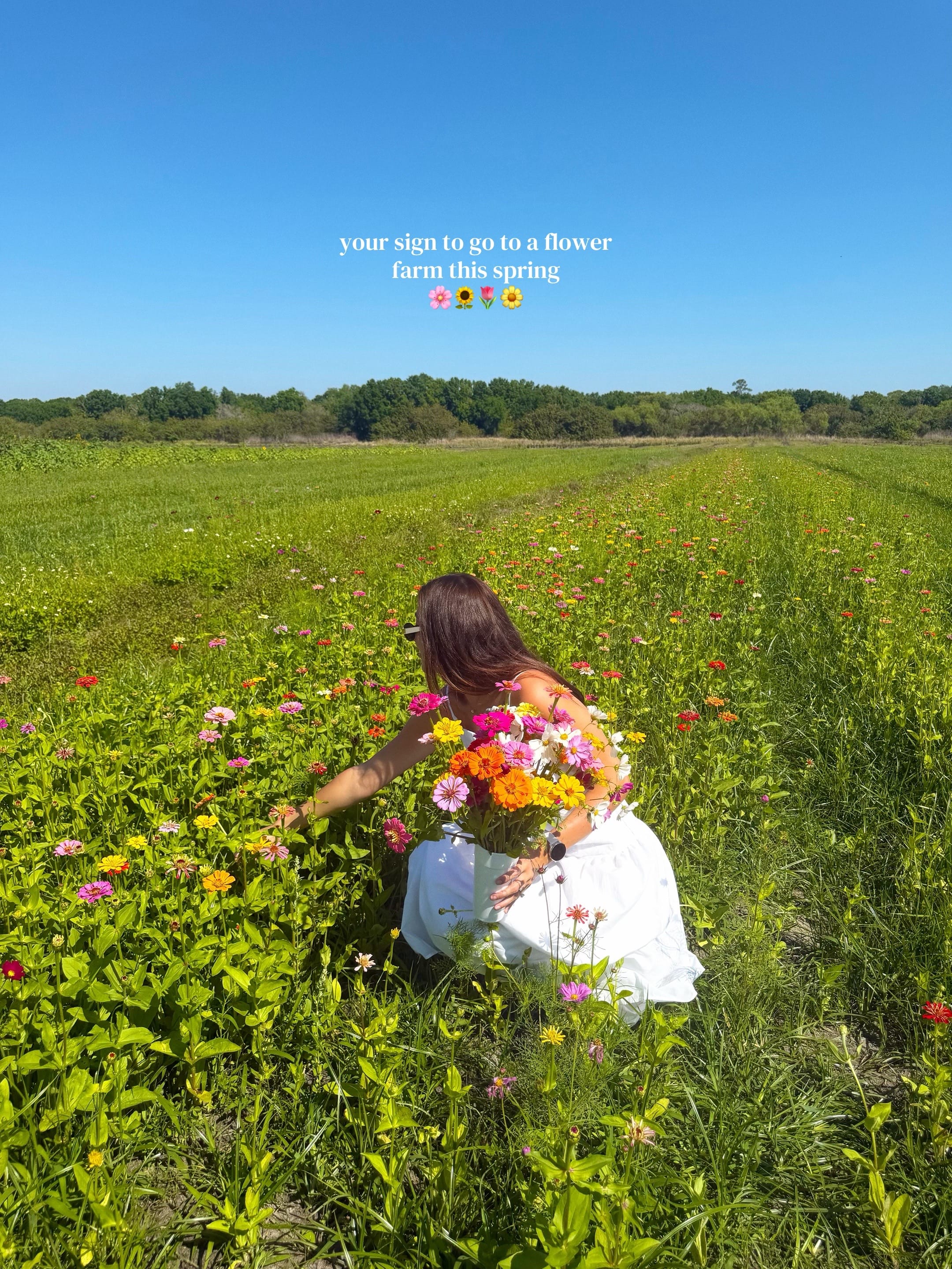Post 10 by trinity on TikTok (video)