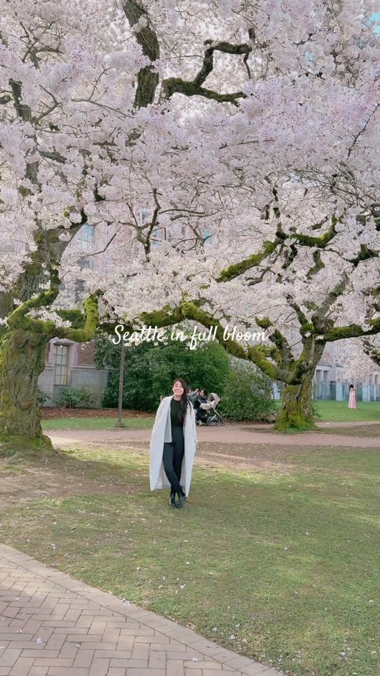 Post 1 by wanderwithmisa on TikTok (video)