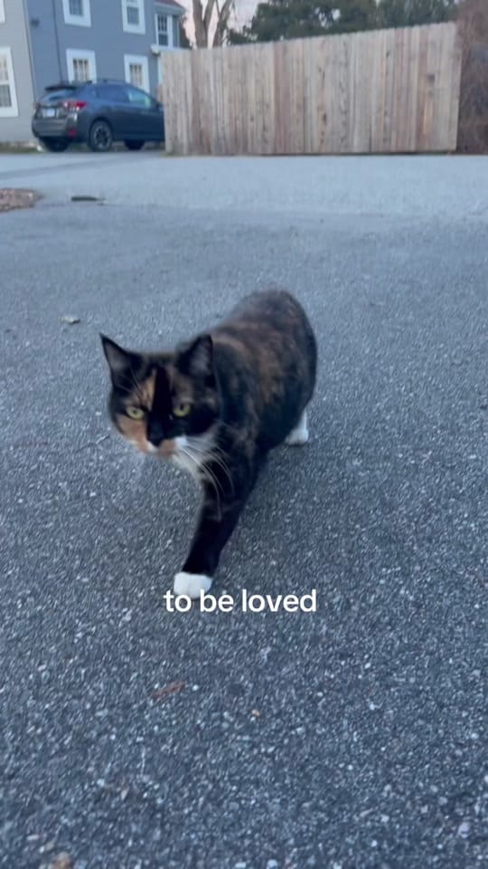 Post 2 by Abigail Renee Photography on TikTok (video)