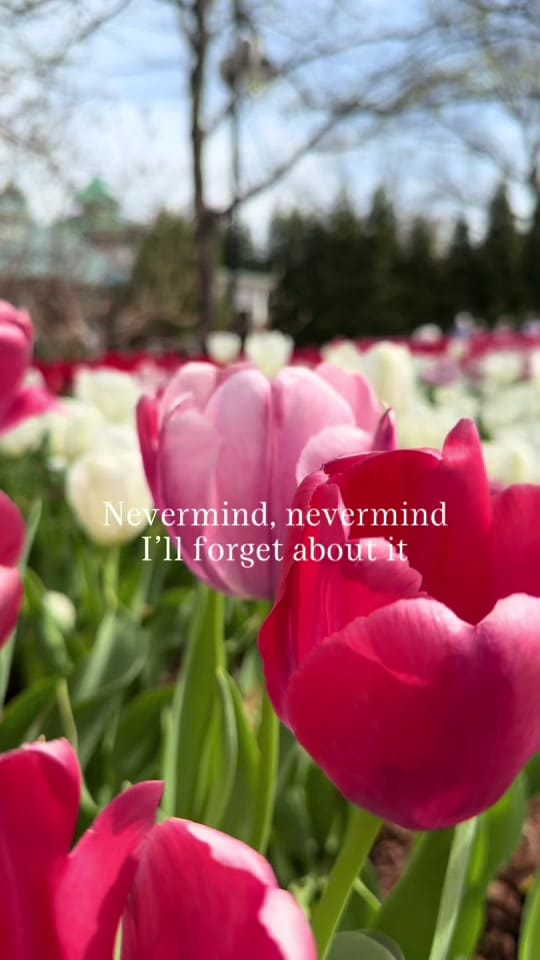 Post 3 by Becca | Milso+TTC on TikTok (video)