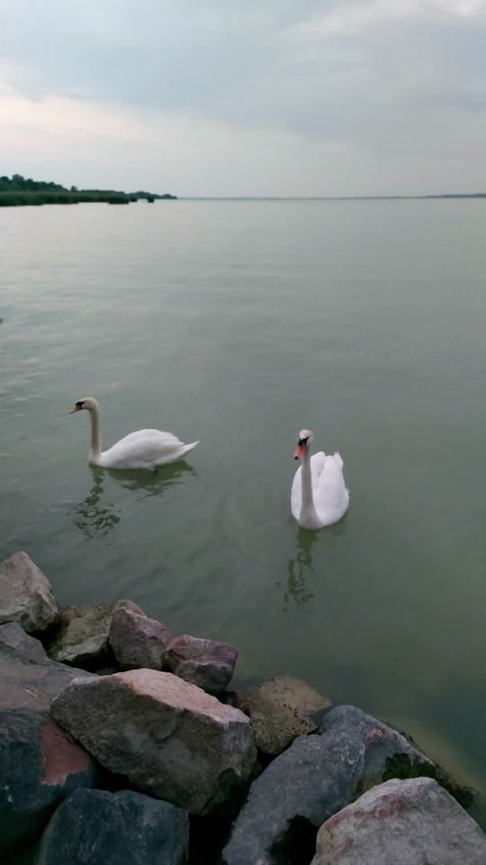 Post 5 by Badri Nakhiani on TikTok (video)