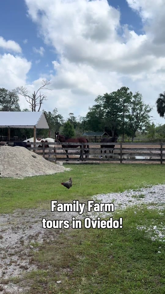 Post 7 by Milana’s Travels-Family Travel on TikTok (video)