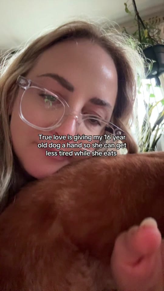 Post 2 by Logan Marie on TikTok (video)