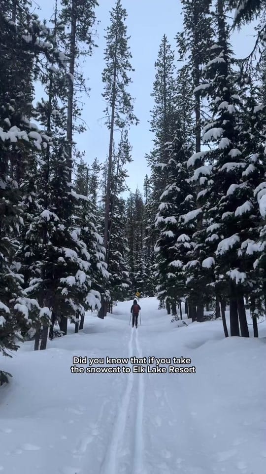 Post 4 by Logan Marie on TikTok (video)
