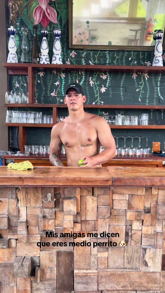 Post 2 by Brandon & Ori on TikTok (video)