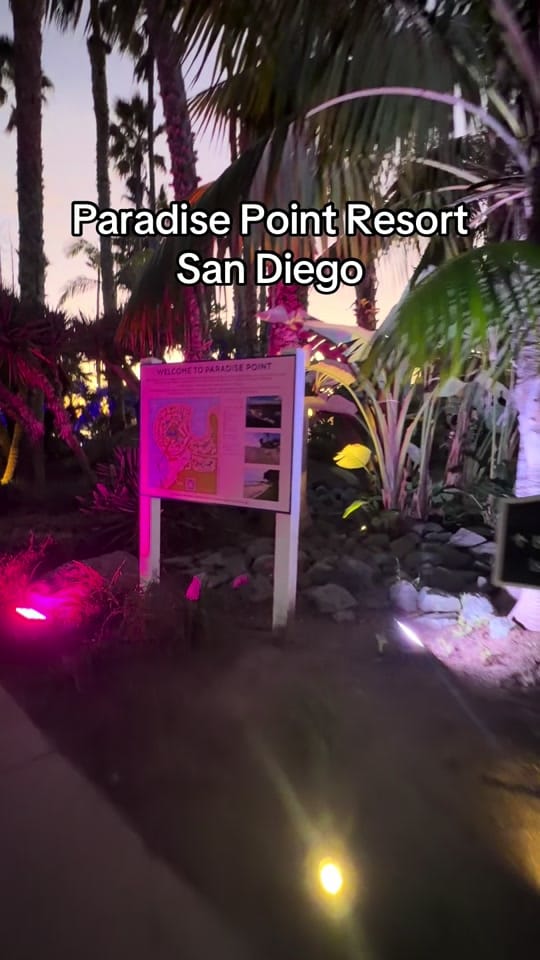 Post 8 by Yourauntietay - Trips & Finds on TikTok (video)