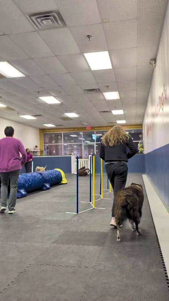Post 8 by amandagwood on TikTok (video)