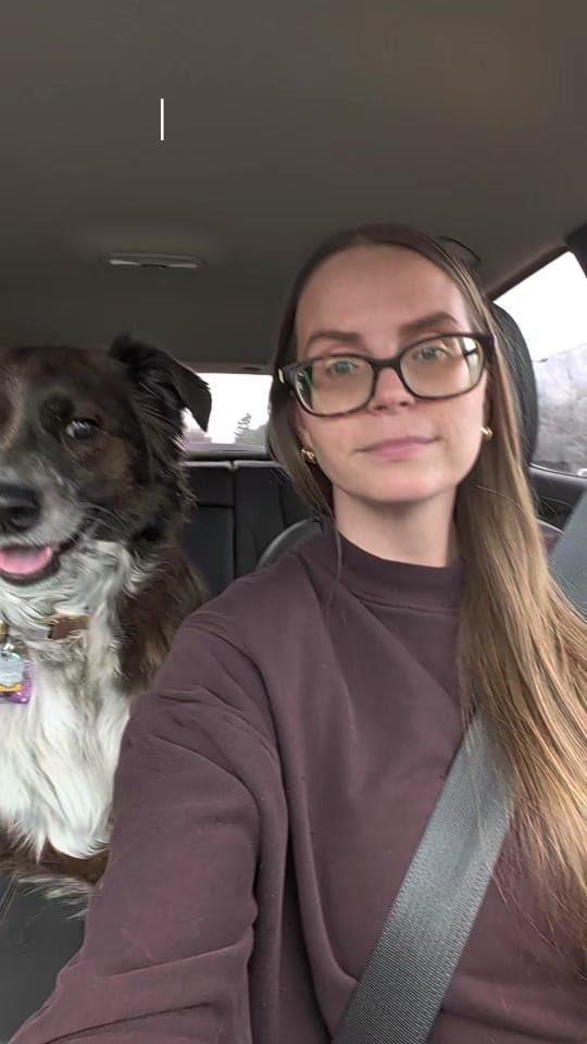 Post 6 by amandagwood on TikTok (video)