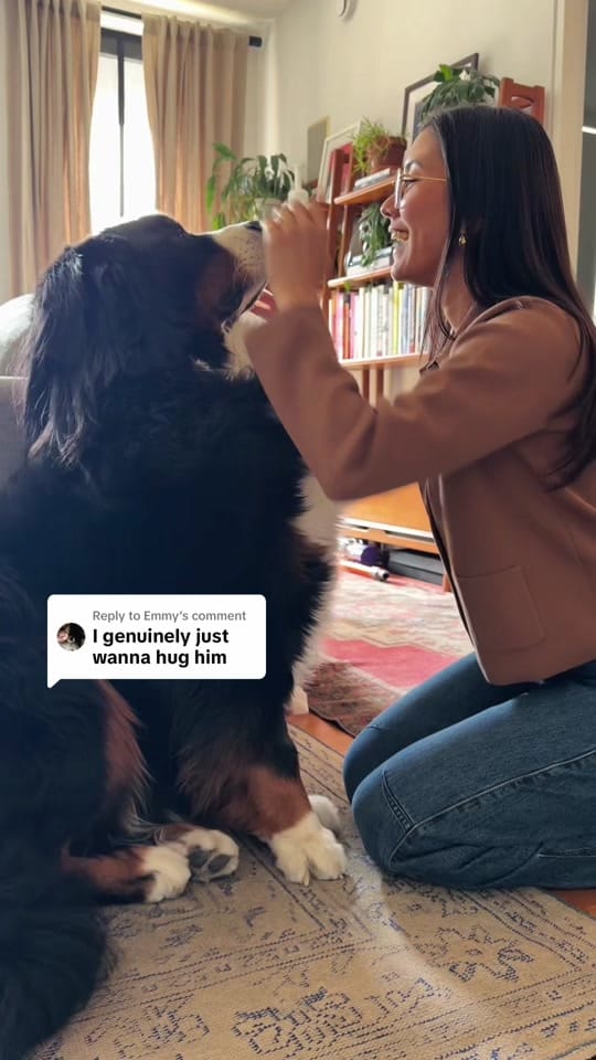 Post 3 by itskaseycoffey on TikTok (video)