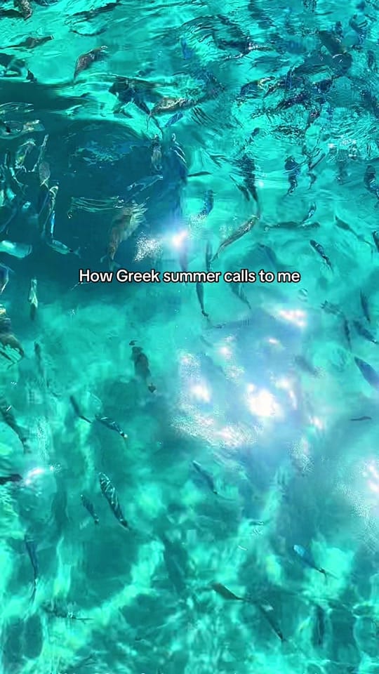 Post 6 by itskaseycoffey on TikTok (video)