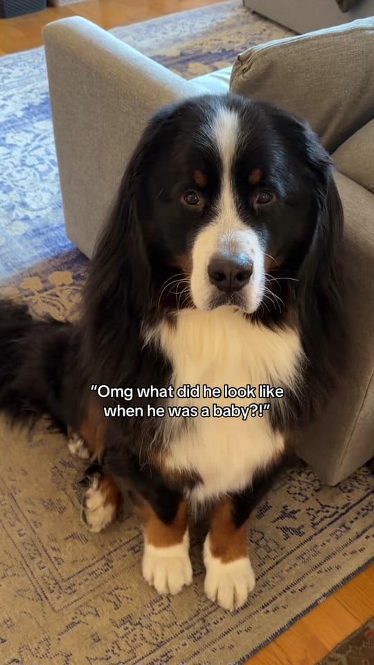 Post 7 by itskaseycoffey on TikTok (video)