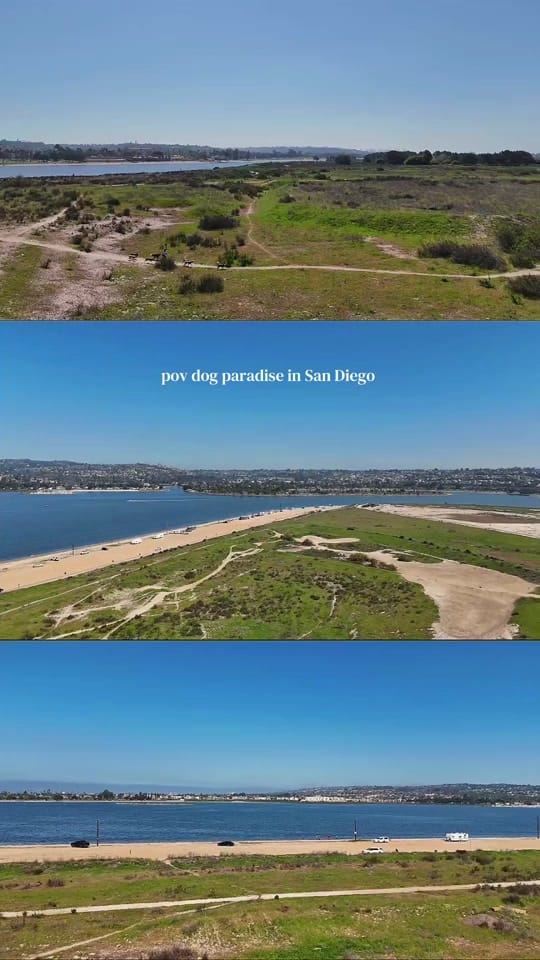 Post 7 by 𝓜  | Travel, Food, San Diego on TikTok (video)
